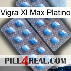 Vigra Xl Max Platinum viagra4